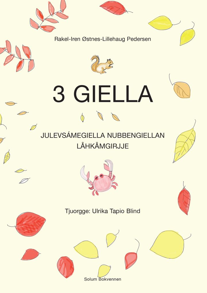 Giella 3: julevsámegiella nubbengiellan : iåhkåmgirjj